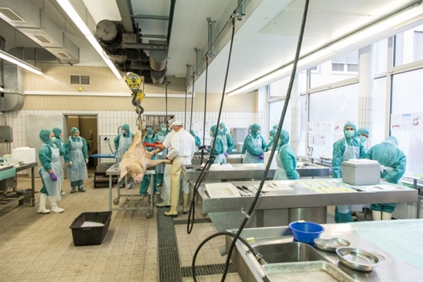 中国药企欧盟碰壁：质量问题还是标准差异？