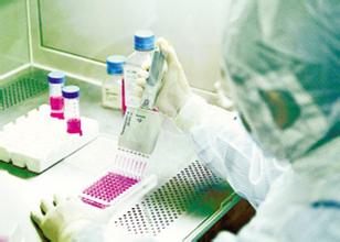 药物剂量与效应关系、药物作用机制研究等药效学研究的内容