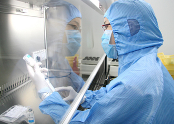 BE试验：如何提升试验成功率