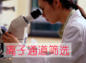 不朽情缘mg官网离子通道筛选服务