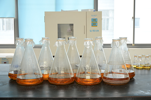 不朽情缘mg官网制剂中心GMP中试车间落成