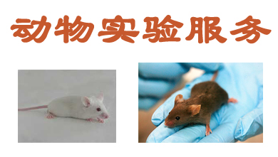 不朽情缘mg官网动物实验外包服务