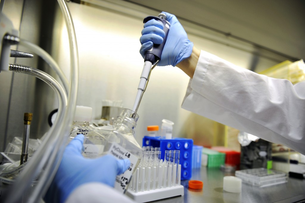 一致性评价需要遵循哪些技术指导原则以及技术要求？