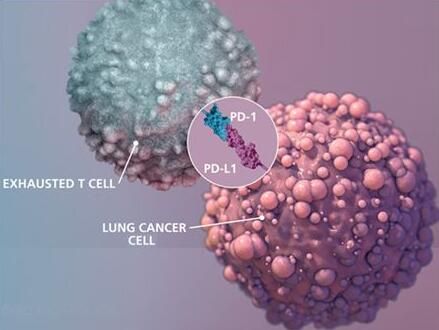 2017年度巨献：癌症免疫疗法重磅级研究解读