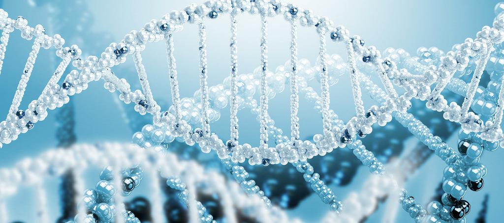 浅谈不朽情缘mg官网抗体药物PK分析方法学设计的考虑要点