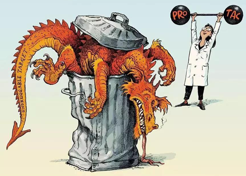 聚焦PROTAC：Make“Undruggable”TargetsDrugable