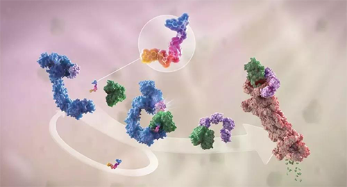 LYTAC出世，与PROTAC并肩作战针对不可成药的靶点