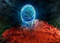 Nature：BATF3改善T细胞记忆应答，有望改善免疫疗法的疗效