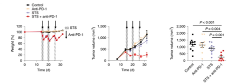 与对照组及仅使用PD-1疗法的模型小鼠对比，采用短期饥饿配合PD-1疗法的393P细胞同源移植肿瘤小鼠体内的肿瘤体积有了明显的收缩。