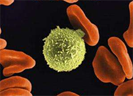 Science子刊：一种FDA批准的抗腹泻药物可有效对抗化疗的耐药性