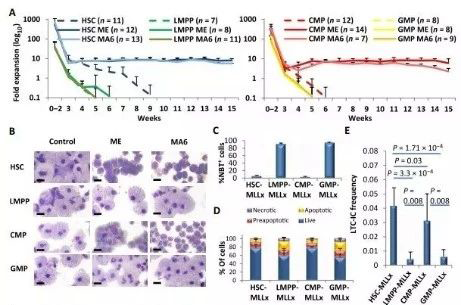 Science子刊：一种FDA批准的抗腹泻药物可有效对抗化疗的耐药性 不朽情缘mg官网生物医药