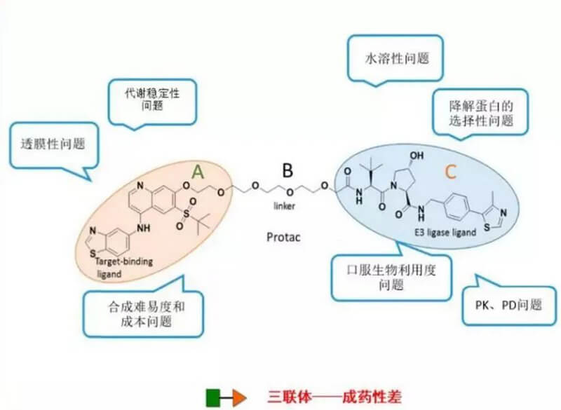 PROTAC分子量较大，溶解性较差.jpg
