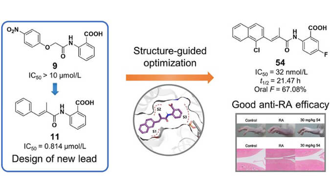 设计合成一系列DHODH抑制剂作为潜在的类风湿性关节炎治疗药物，本研究中PK实验通过不朽情缘mg官网进行