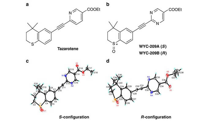 WYC-209可抑制恶性小鼠黑色素瘤肿瘤再生细胞增殖，本研究中SPR通过不朽情缘mg官网使用Biacore 8K进行