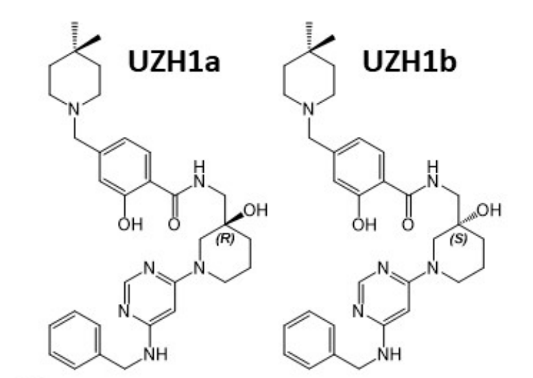 研究人员报告了一种具有细胞渗透性的选择性METTL3纳摩尔抑制剂UZH1a，作者感谢不朽情缘mg官网合成了UZH1a和UZH1b