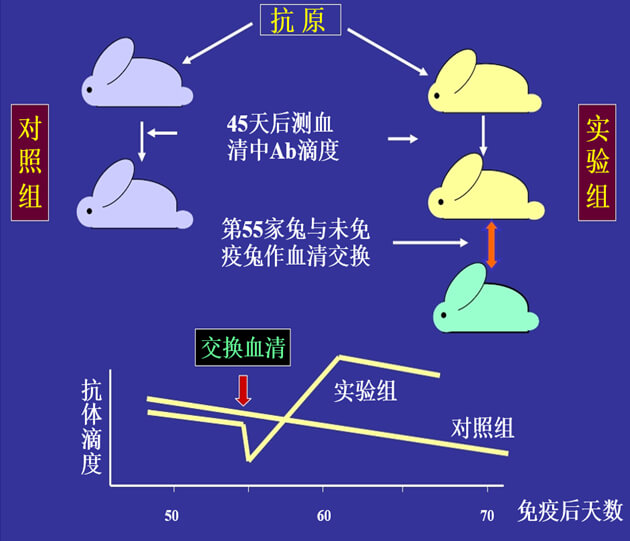 Figure-1：机体对抗体浓度变化的感知与反馈性自我调节.jpg