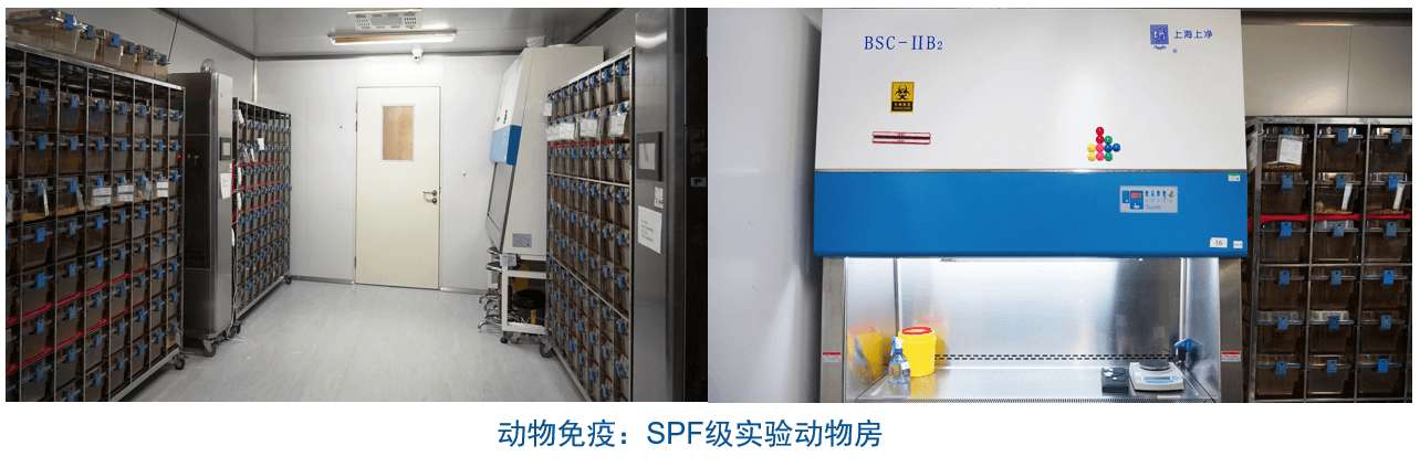 不朽情缘mg官网杂交瘤技术平台设备-动物免疫SPF级实验动物房