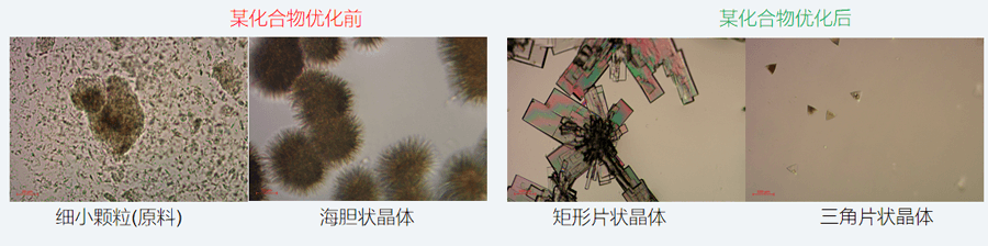 05案例分享-单晶培养，改变晶习.png