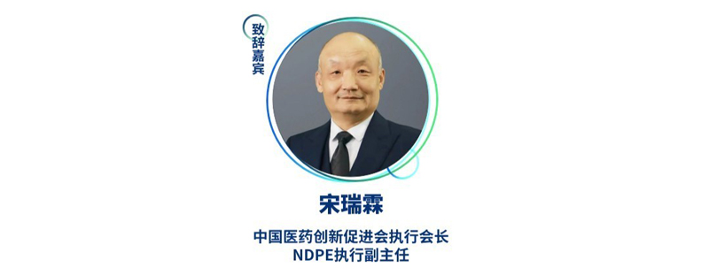 宋瑞霖--中国医药创新促进会执行会长、NDPE执行副主任.jpg