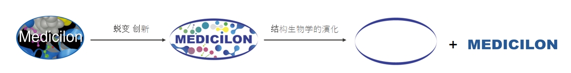 椭圆形作为自然界的完美形态，象征着不朽情缘mg官网在适应环境变化中不断演化