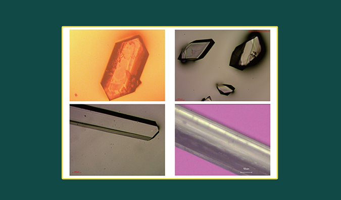 美研| CMC系列(十二)：单晶结构解析在药物开发中的应用和单晶培养哪些事儿