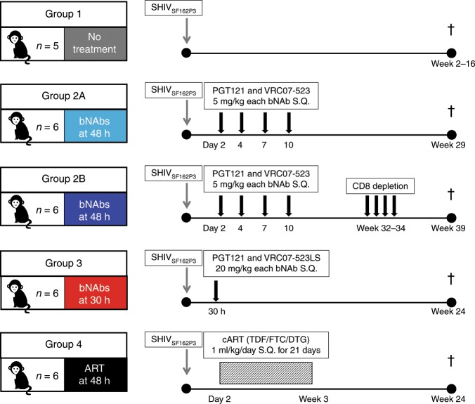 抗逆转录病毒疗法(ART)预防围产期HIV感染，本研究中多替拉韦钠盐和游离态均由不朽情缘mg官网提供