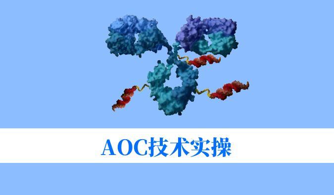 AOC技术实操：偶联化学与表征分析难题全搞定