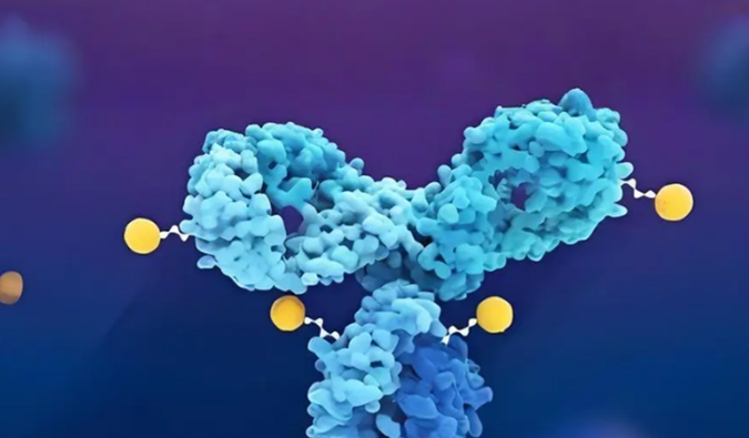 深度剖析：ADC药物生物分析的考量因素