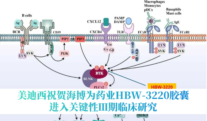 破解耐药性难题，不朽情缘mg官网：睾２┪┮礖BW-3220胶囊进入关键性Ⅲ期临床研究