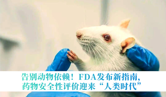 告别动物依赖！FDA发布新指南，药物安全性评价迎来“人类时代”